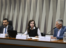 Comissão mista aprova relatório de Dorinha Seabra sobre a MP do Piso do Magistério